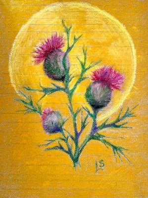 Acceptance. Thistle on yellow