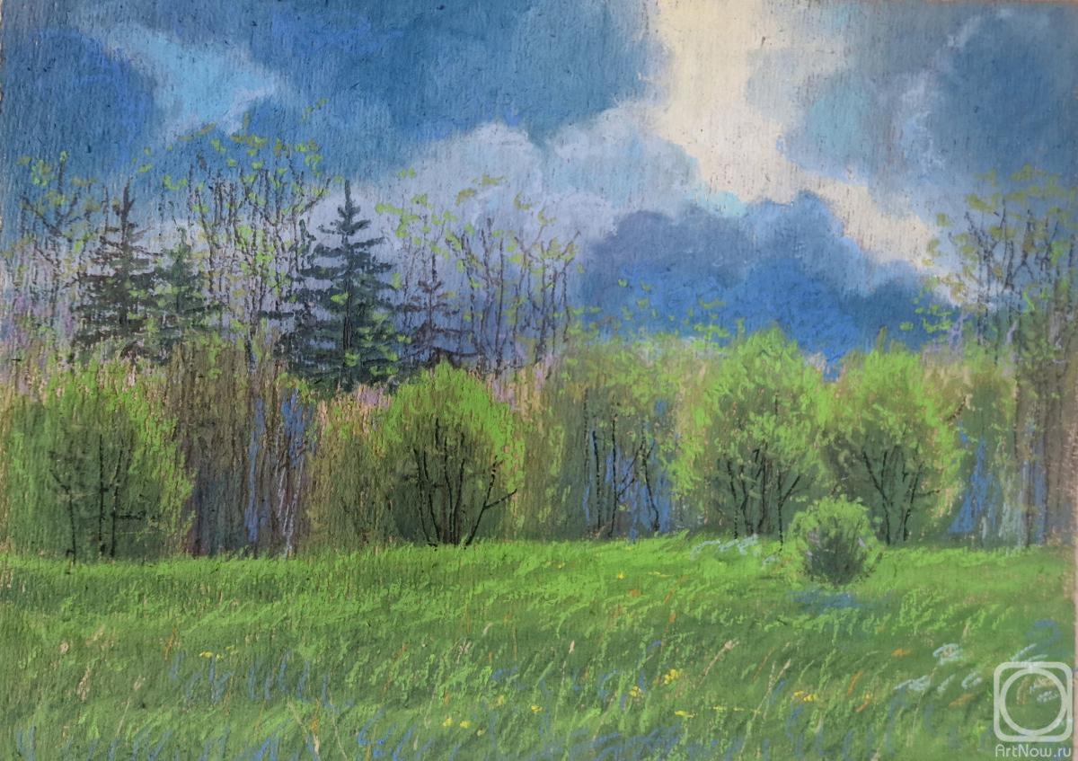 Dolgih Elena. Untitled
