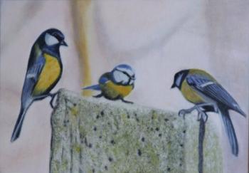 Three Titmice