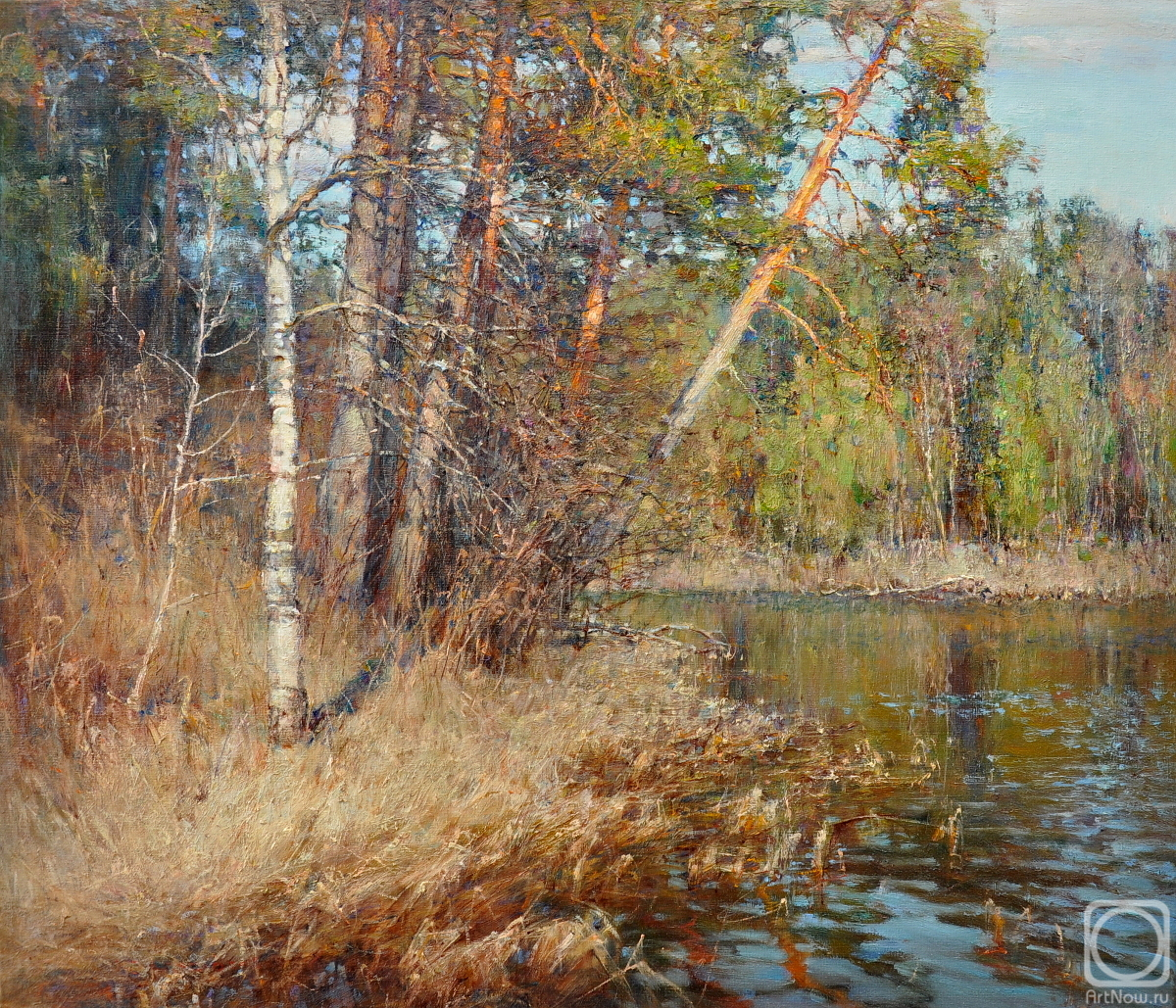 Korotkov Valentin. Pine Coast