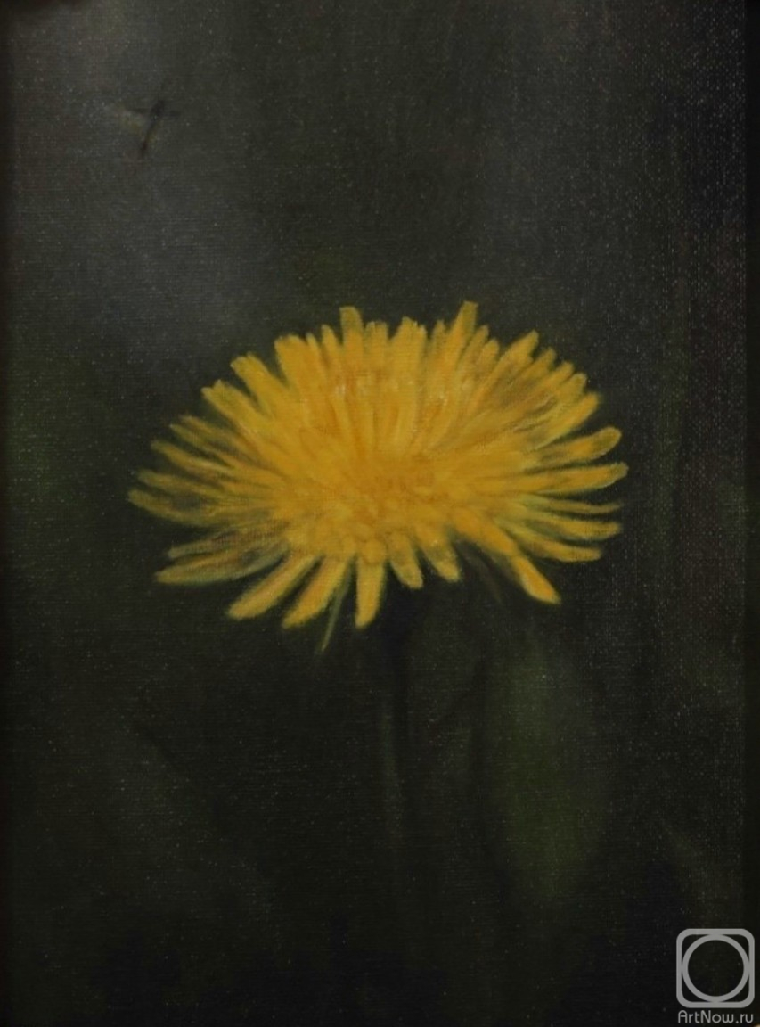 Krylova Evi. Dandelion