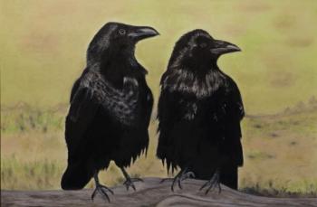 Crows in the Desert