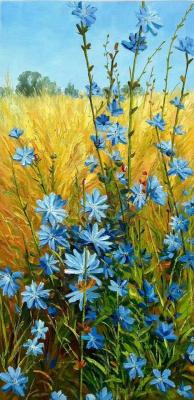 Pieces of Sky in a Golden Field. Chicory. Romm Alexandr