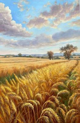 Fertile Cornfield. Wheat Field. Romm Alexandr