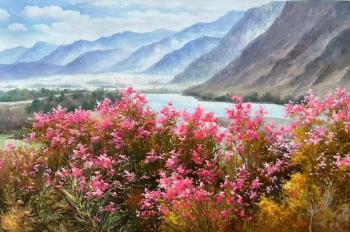 Altai is dressed in spring flowers. Maralnik. Romm Alexandr