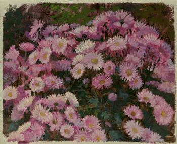 Chrysanthemums