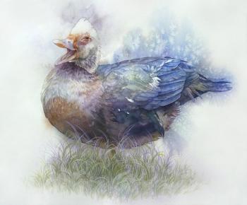 Talking goose