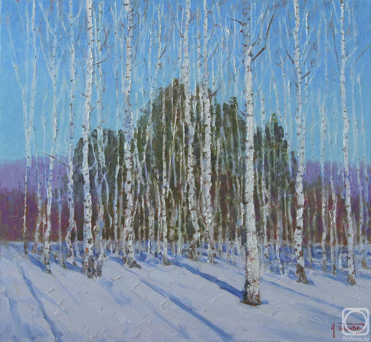 Panov Igor. The days are getting longer