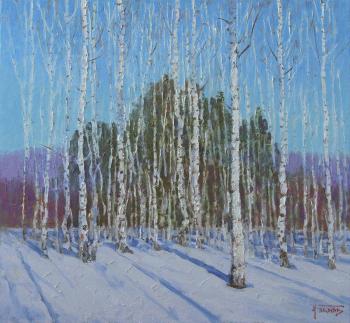 The days are getting longer. Panov Igor