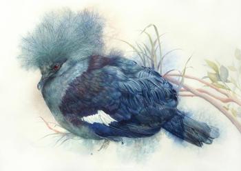 Fairytale bird