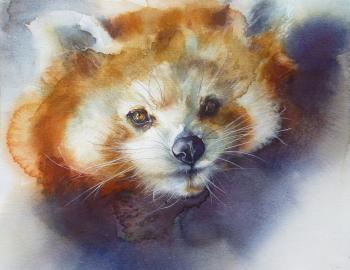 Red Panda