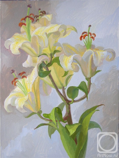 ������� ������ �� ������. �������� ��������. ���� ��������. ���� �����