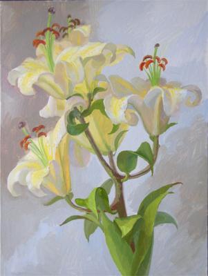 ������� ����� ��������. ���� �����