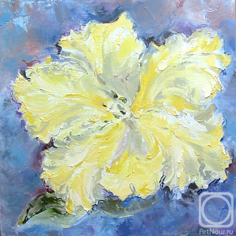 ������� ������ �� ������. ������������ ������. �������