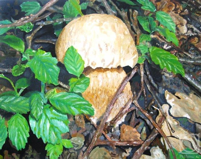 Peschanaia Olga. Mushroom