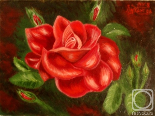 ������� ������ �� ������. �������� ������. �������� ����