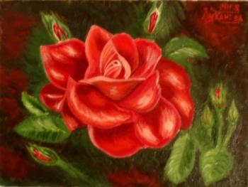 ������� ��������� ����