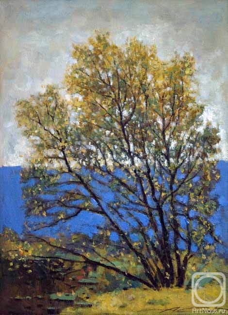 ������� ������ �� ������. ����� ���������. Willow