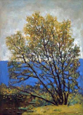 ������� �Willow�