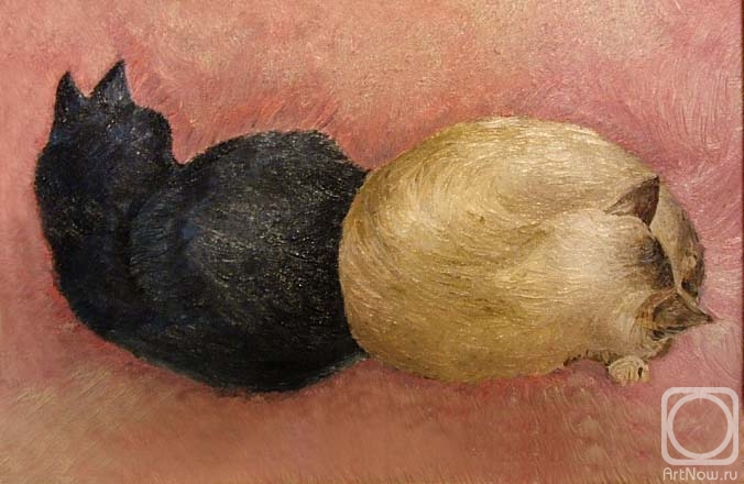 ������� ������ �� ������. ����� �������. ����� � ������