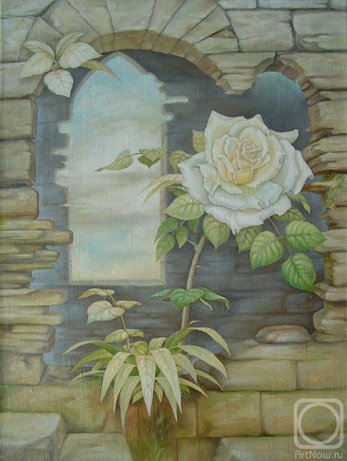 ������� ������ �� ������. ���������� ����. ��������� ����