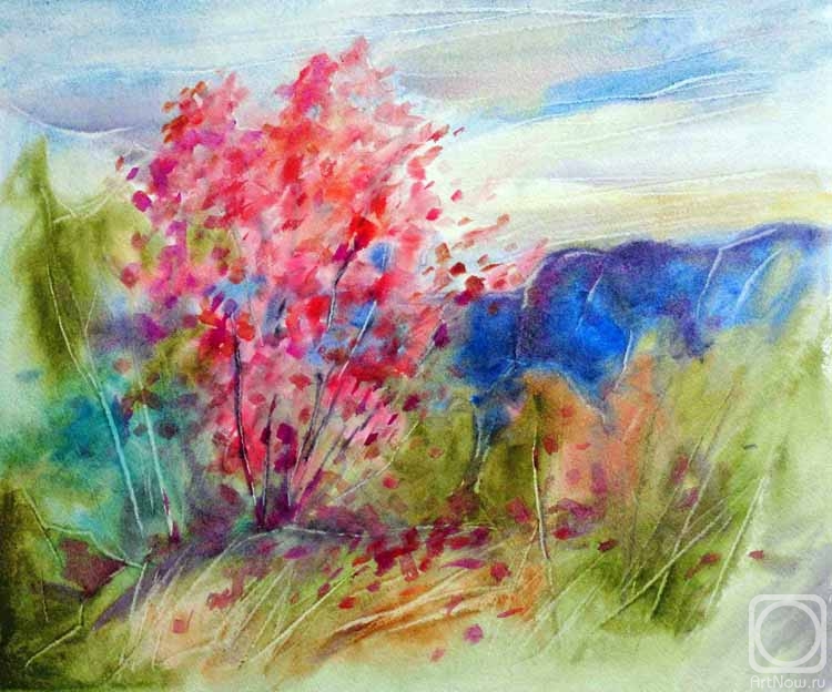 �������. ����� ���������. Red bird-cherry tree