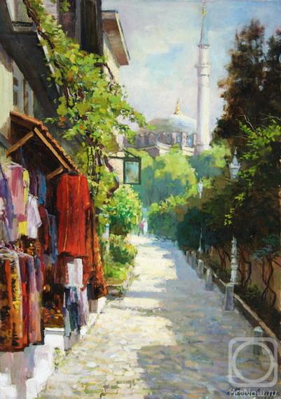Galimov Azat. Sultan Ahmet. Small street of the centre Istanbul