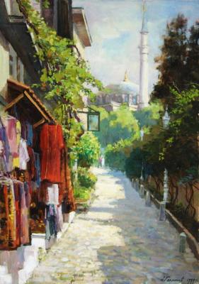 Sultan Ahmet. Small street of the centre Istanbul