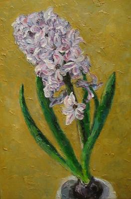 Hyacinth. Sayfutdinova Larisa