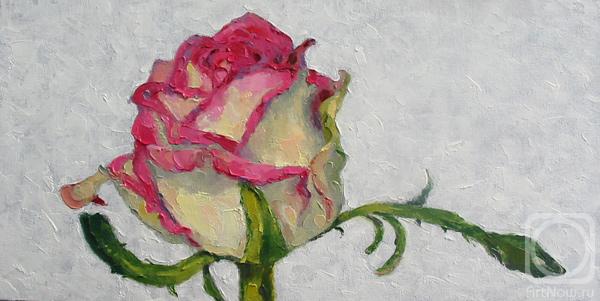 ������� ������ �� ������. ������������ ������. ����