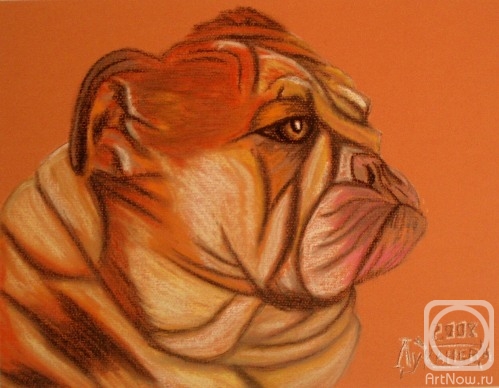 �������. �������� ������. �� ������