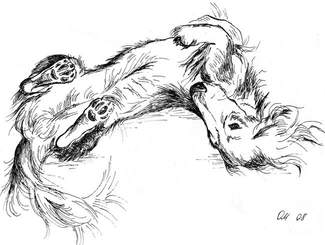 �������. ��������� �����. ����