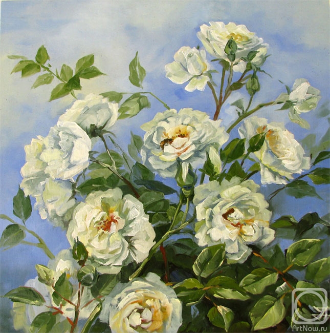 Gorbatenkaia Tatiana. Bushes of white roses