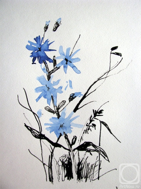 �������. �������� ��������. �������