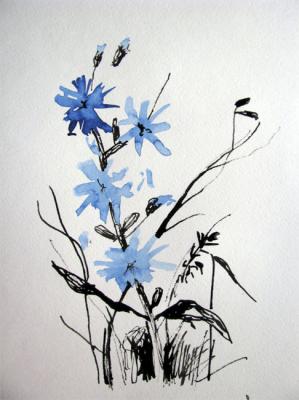 ������� ��������