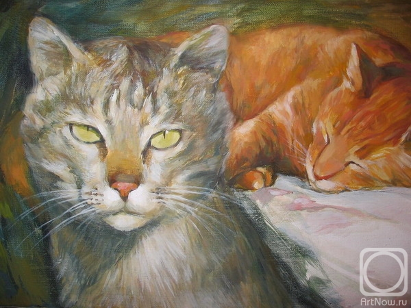 ������� ������ �� ������. ��������� �������. �������������