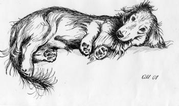 ���� 3. ��������� �����