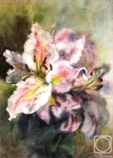 �������. ��������� ��������. ����� ��� ����