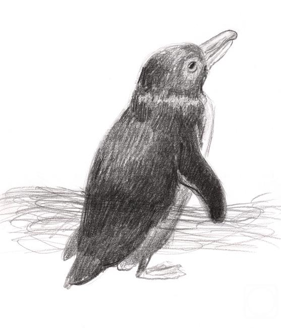 �������. ��������� ����. ����������