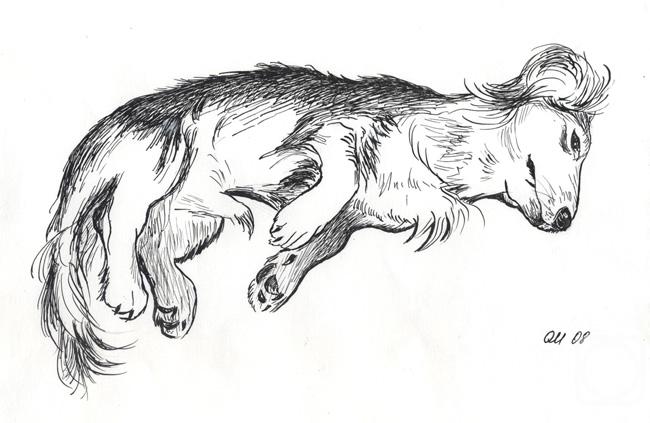 Malancheva Olga. Bassy 2