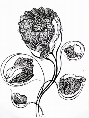 ������� ���� �������� �����