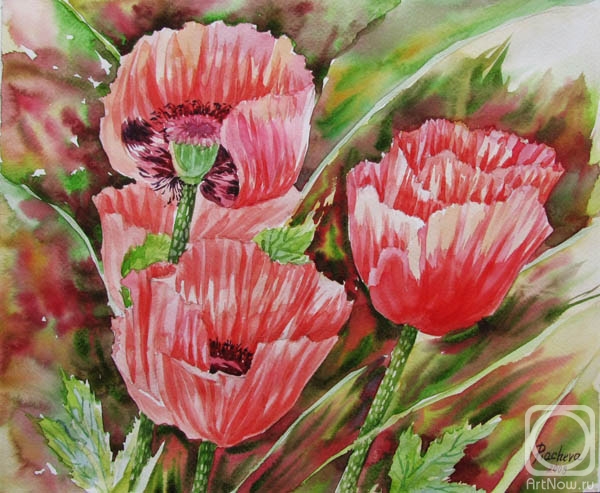 �������. ������� �������. ������� ����