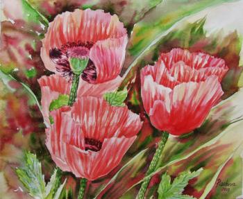 ������� �������� ����