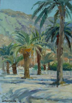 Palm trees in Kotor. Kostylev Dmitry