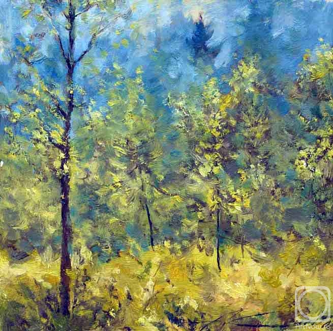 ������� ������ �� ������. ����� ���������. At forest