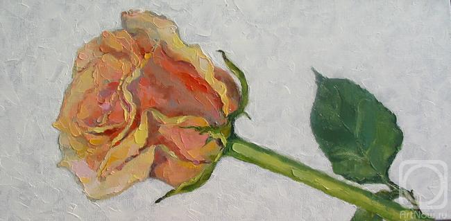 Sayfutdinova Larisa. rose