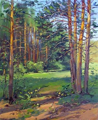 Morning light in the forest. Demidenko Sergey