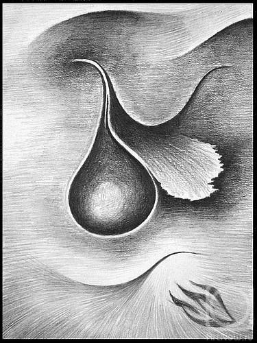 �������. ������ �����. ������ ���... (2)