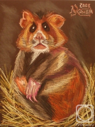 �������. �������� ������. ���� ������������