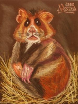 ���� ������������. �������� ������